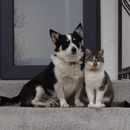 Willa Cosy House Berehomet Zewnętrze zdjęcie