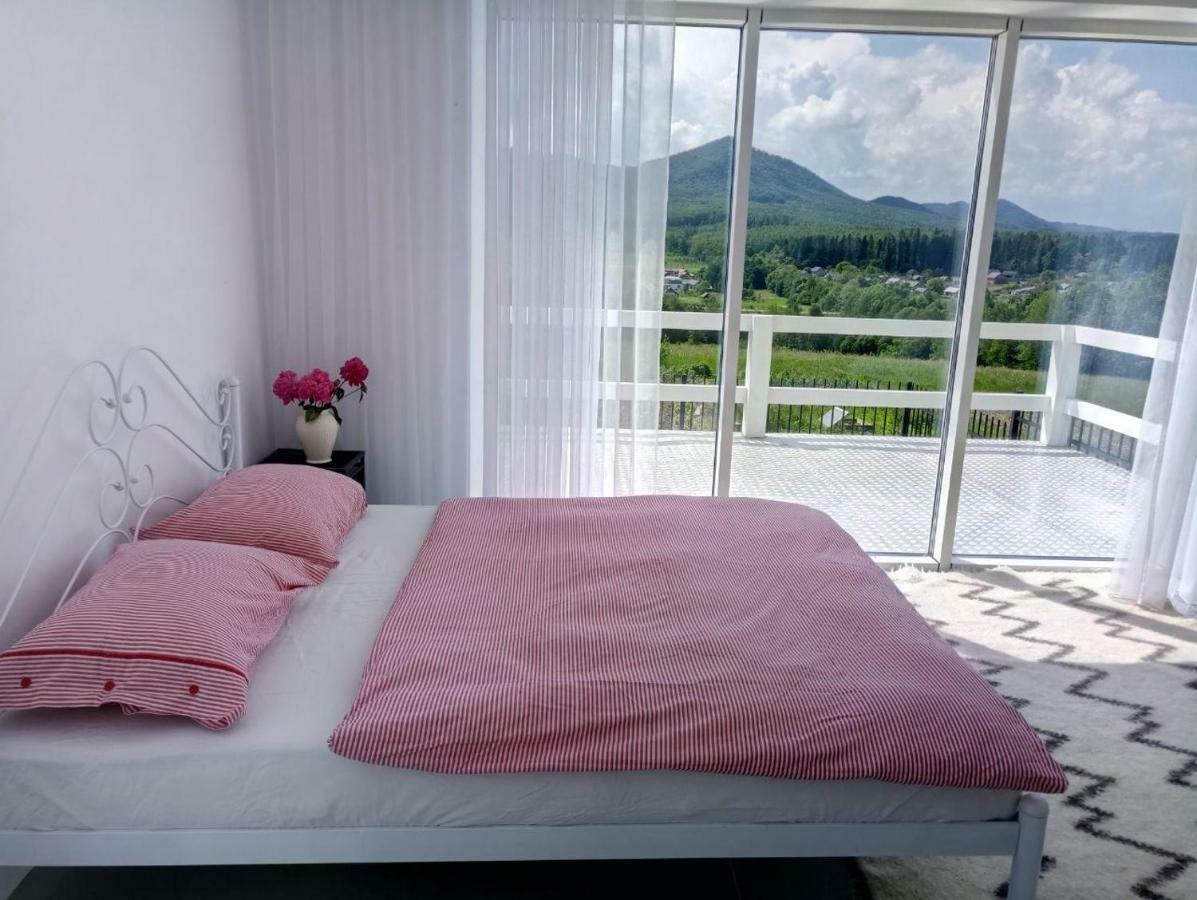 Willa Cosy House Berehomet Zewnętrze zdjęcie