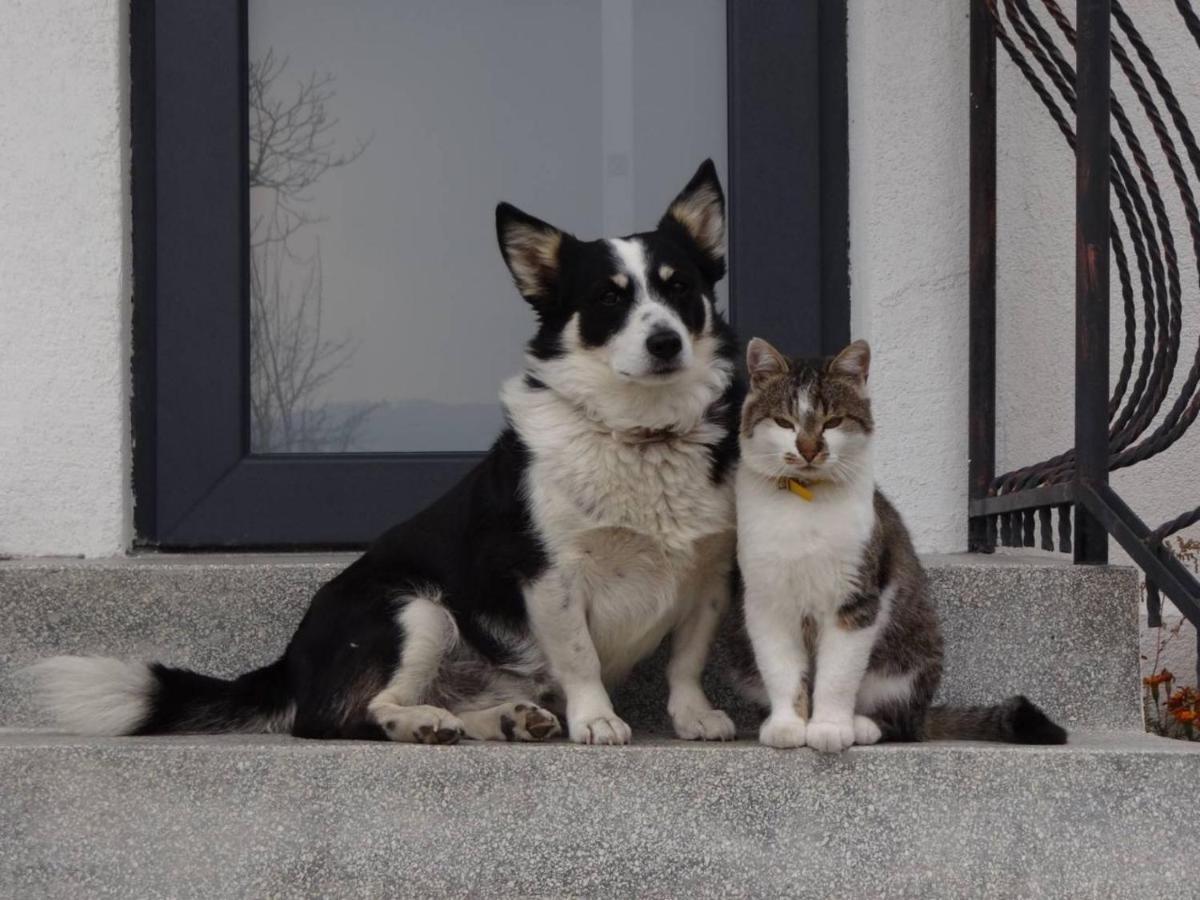 Willa Cosy House Berehomet Zewnętrze zdjęcie